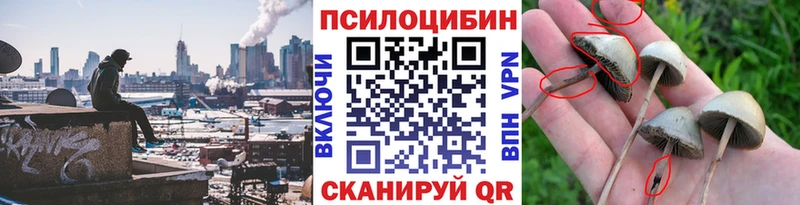 нарко площадка какой сайт  Волжск  Галлюциногенные грибы мухоморы  купить закладку 
